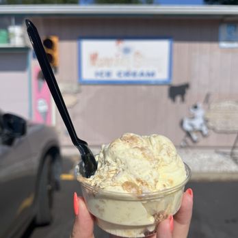 OINK’S ICE CREAM AND YOGURT - Updated July 2025 - 210 Photos & 289 ...