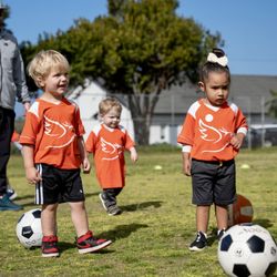 Phoenix Sports