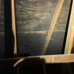 Tech-Smart Home Inspections - Black mold in atticc