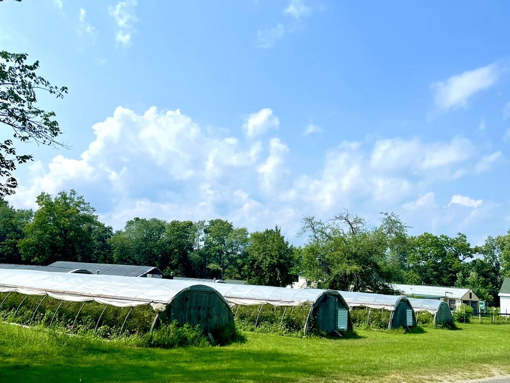 PEPIN FARM Updated September 2024 491 East St, Easthampton