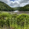 Upper San Leandro Reservoir gift card