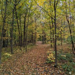 Stay Bristol Woodlands - Trail path