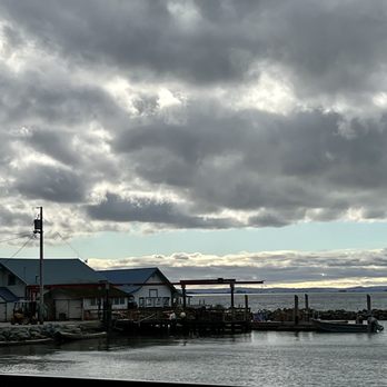 Taylor Shellfish Farms - Seafood Markets Near Me - Bow, Washington Taylor Shellfish Farms - Seafood Markets Near Me - Bow, Washington