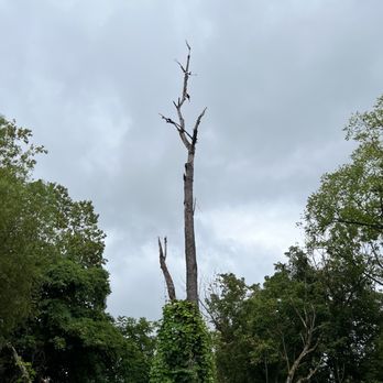 Carrier Park - Parks Near Me - Asheville, North Carolina