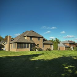 Carpenter Bee’s Lawn Care