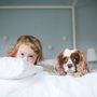 Photo of The Wild Things Dog Walking