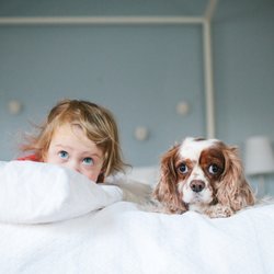 The Wild Things Dog Walking