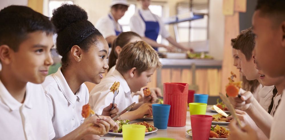 Georgia Care Food Programs - social services organization in Roswell, GA