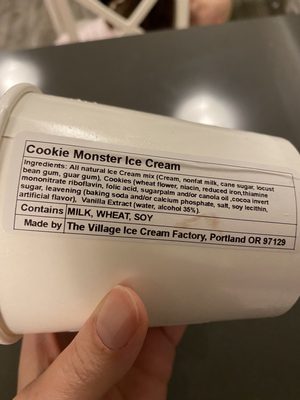 The Village Ice Cream Factory by null