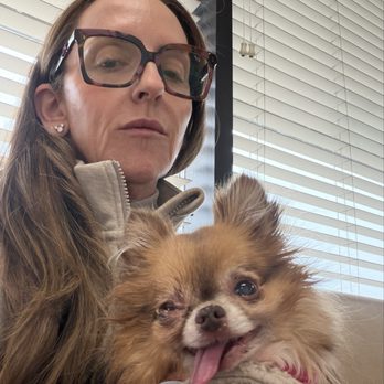 Animal Eye Center - Before seeing the Animal Eye Care - Veterinarians Near Me - Rocklin, California Animal Eye Center - Before seeing the Animal Eye Care - Veterinarians Near Me - Rocklin, California