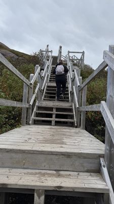 Signal Hill National Historic Site by null