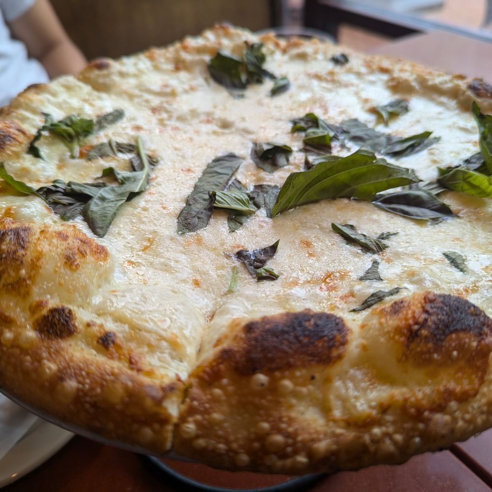 Rustico - white pizza - New American Near Me - Alexandria, Virginia Rustico - white pizza - New American Near Me - Alexandria, Virginia