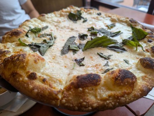 Rustico Alexandria by null