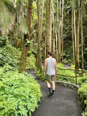 Hawai‘i Tropical Botanical Garden by null