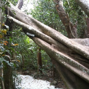 Simpson Park - Parks Near Me - Miami, Florida