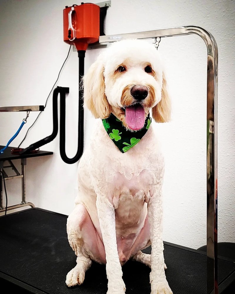 GROOMINGDALE Updated October 2024 189 Photos & 70 Reviews 8415