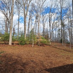 David Kennedy Tree & Landscaping