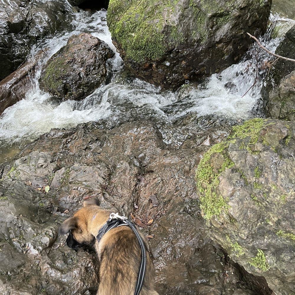 Cataract Falls Trail - Hiking Near Me Cataract Falls Trail - Hiking Near Me