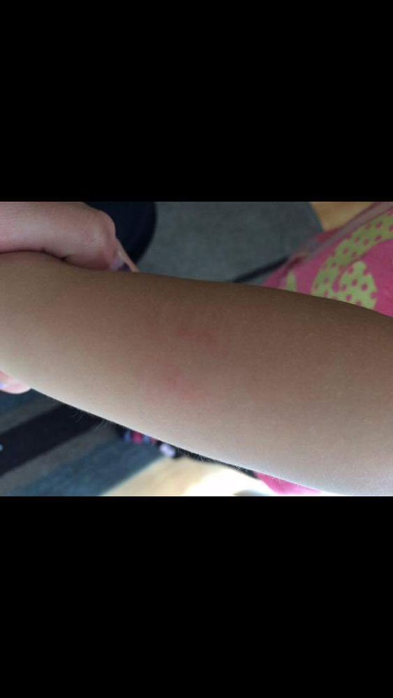 Jack & Jill's Educational Center - childcare center in Fresno, CA