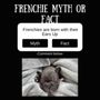Photo of La Griffe Frenchies