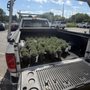 Photo of FFS Lawn Care