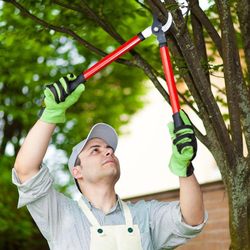 JM Lawns & Landscaping Services