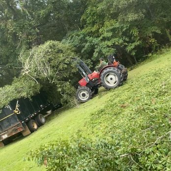 I&N Tree Services - They trimmed a big oak tree - Tree Services Near Me I&N Tree Services - They trimmed a big oak tree - Tree Services Near Me