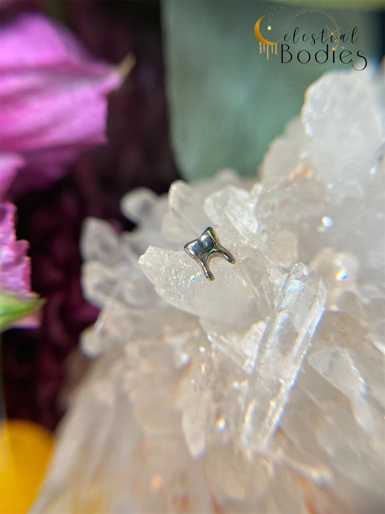 CELESTIAL BODIES PIERCING Updated October 2024 Request an