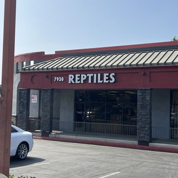 Reptile Island - Front of store - Pet Stores Near Me - Rancho Cucamonga, California