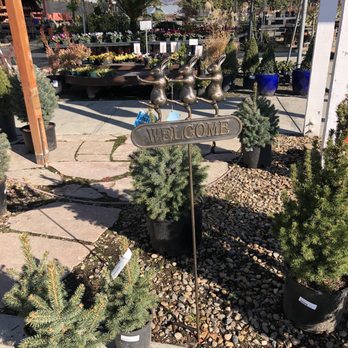 Evergreen Nursery - Nurseries & Gardening Near Me - San Leandro, California Evergreen Nursery - Nurseries & Gardening Near Me - San Leandro, California