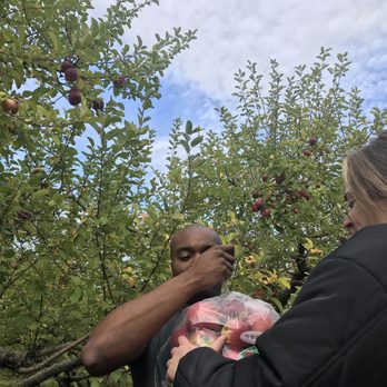 Stone Ridge Orchard - Pick Your Own Farms Near Me - Stone Ridge, New York