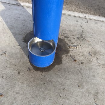 Rose Bowl Loop Track - Water for Dogs - Parks Near Me - Pasadena, California