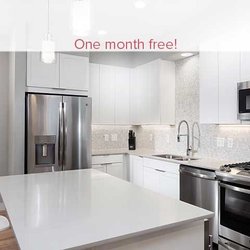 Avalon Residences at the Hingham Shipyard - One Month Free