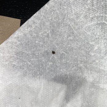 McDonald's - Flys? - Fast Food Near Me - Oakland, California McDonald's - Flys? - Fast Food Near Me - Oakland, California