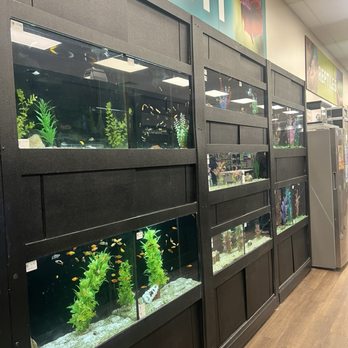 Petland Albuquerque - Pet Stores Near Me - Albuquerque, New Mexico