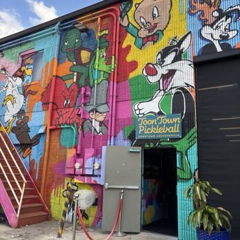Toon Town Pickleball - Pickleball Near Me - Jacksonville, Florida