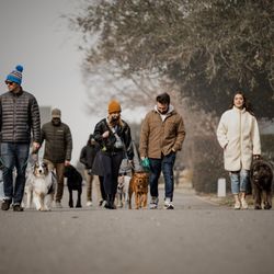 Lucky Pup and Co - Group Classes Dog Training