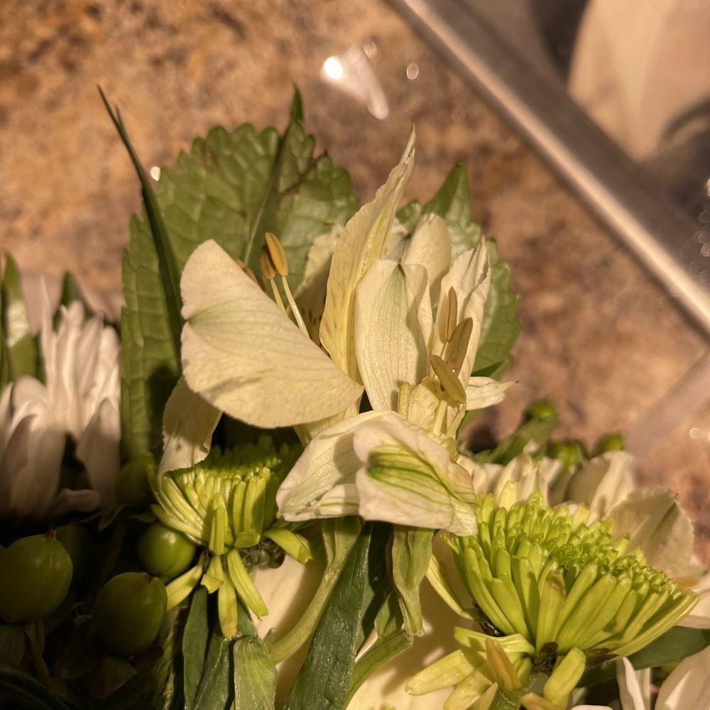 Flower Delivery Winchester Va Best Flower Site