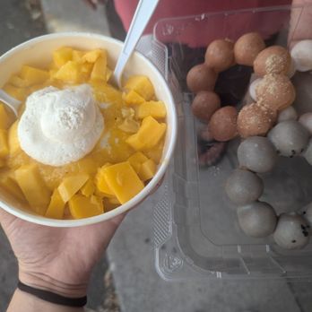 Snow Island - Mango Bingsoo and mochi donuts (strawberry, original and black sesame) - Shaved Ice Near Me - Kailua-Kona, Hawaii Snow Island - Mango Bingsoo and mochi donuts (strawberry, original and black sesame) - Shaved Ice Near Me - Kailua-Kona, Hawaii