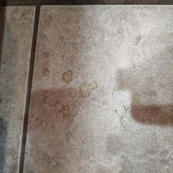Polynesian Resort - Whatever the heck this is on the floor. - Hotels Near Me - Ocean Shores, Washington Polynesian Resort - Whatever the heck this is on the floor. - Hotels Near Me - Ocean Shores, Washington