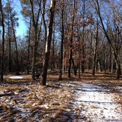 Necedah National Wildlife Refuge - Observation Tower Trail 2