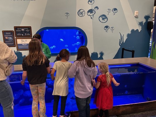 St. Louis Aquarium at Union Station by null