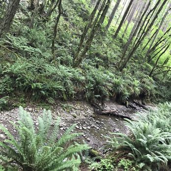 Swan Creek County Park - Parks Near Me - Tacoma, Washington Swan Creek County Park - Parks Near Me - Tacoma, Washington