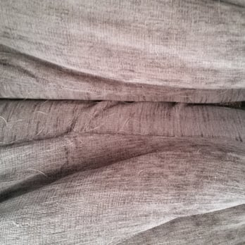 stanley steemer appleton