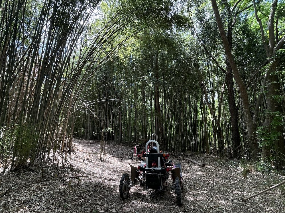 Social spots from Reflection Riding Arboretum & Nature Center