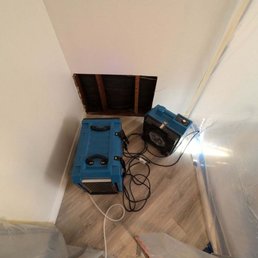 mold remediation in progress mold remediation in progress
