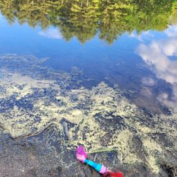 Stratton Brook State Park - Found a mermaid on the beach lol