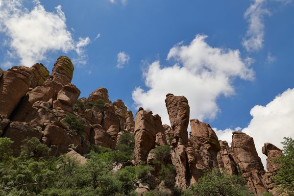 Chiricahua National Monument by null
