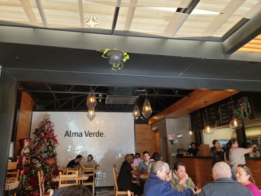 Alma Verde by null