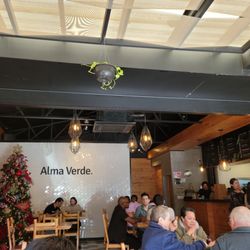 Alma Verde
